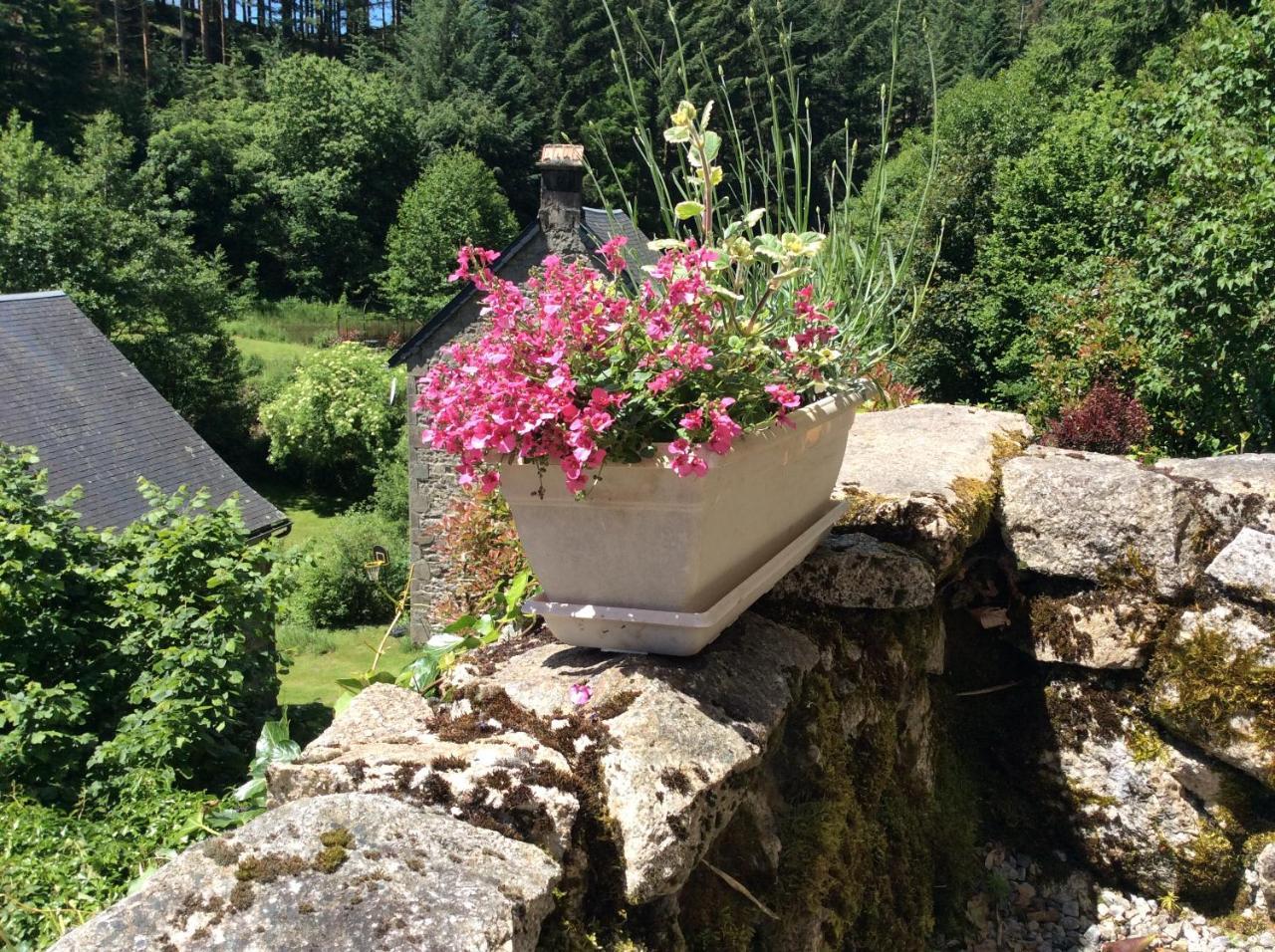 Le Moulin Des Farges Bed and Breakfast Meymac Buitenkant foto